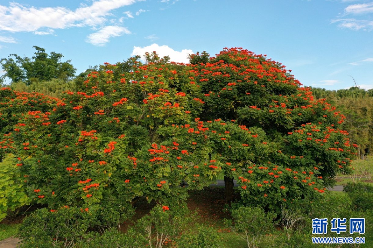 云南省文化和旅游厅