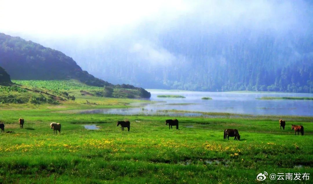 迪庆普达措等景区8天接待近5万人次