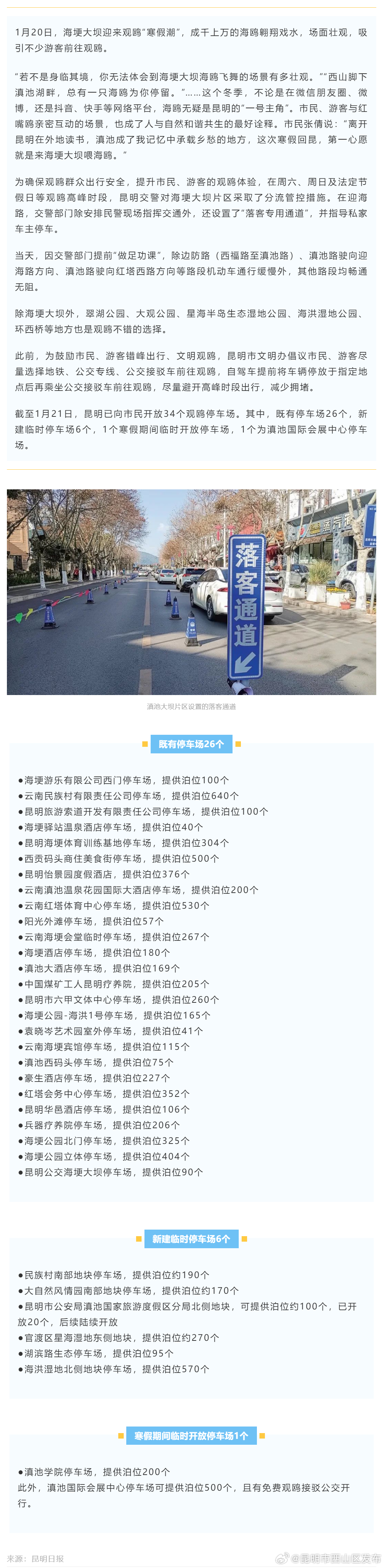 观鸥“寒假潮”来了！昆明开放34个观鸥停车场_http://www.mainten.cn_ycb_第1张