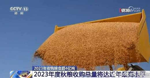 2023年收购粮食超4亿吨，秋粮收购平稳