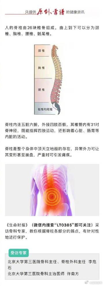 人脊柱各部位有哪些弱点_http://www.mainten.cn_ycb_第2张