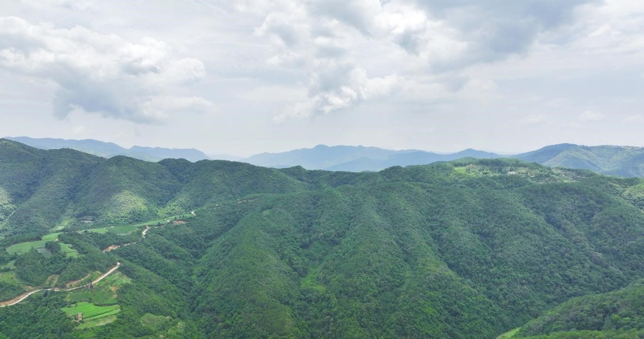 云南省文化和旅游厅