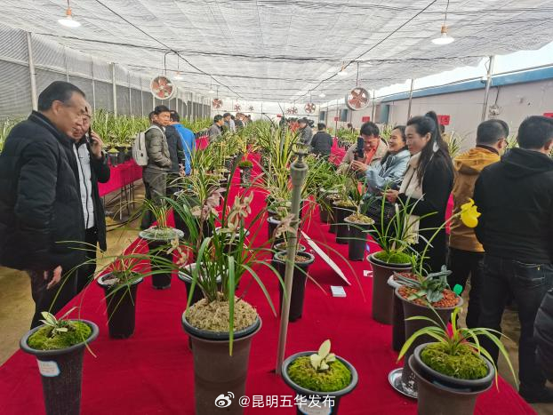 昆明五华发布