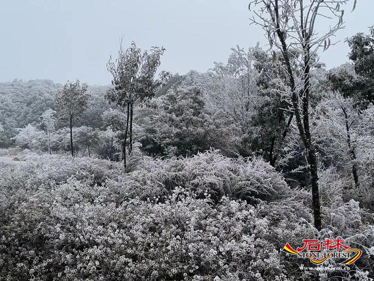 石林旅游网