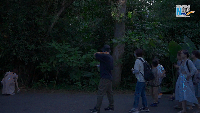 云南省文化和旅游厅