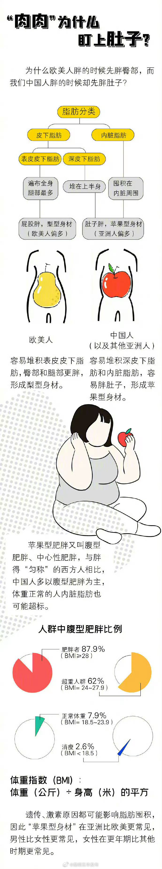 脂肪为什么盯上肚子_http://www.mainten.cn_ycb_第2张