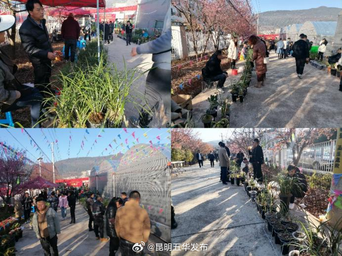 昆明五华发布