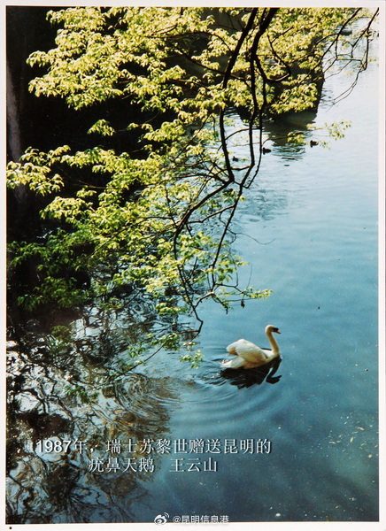 昆明信息港微博