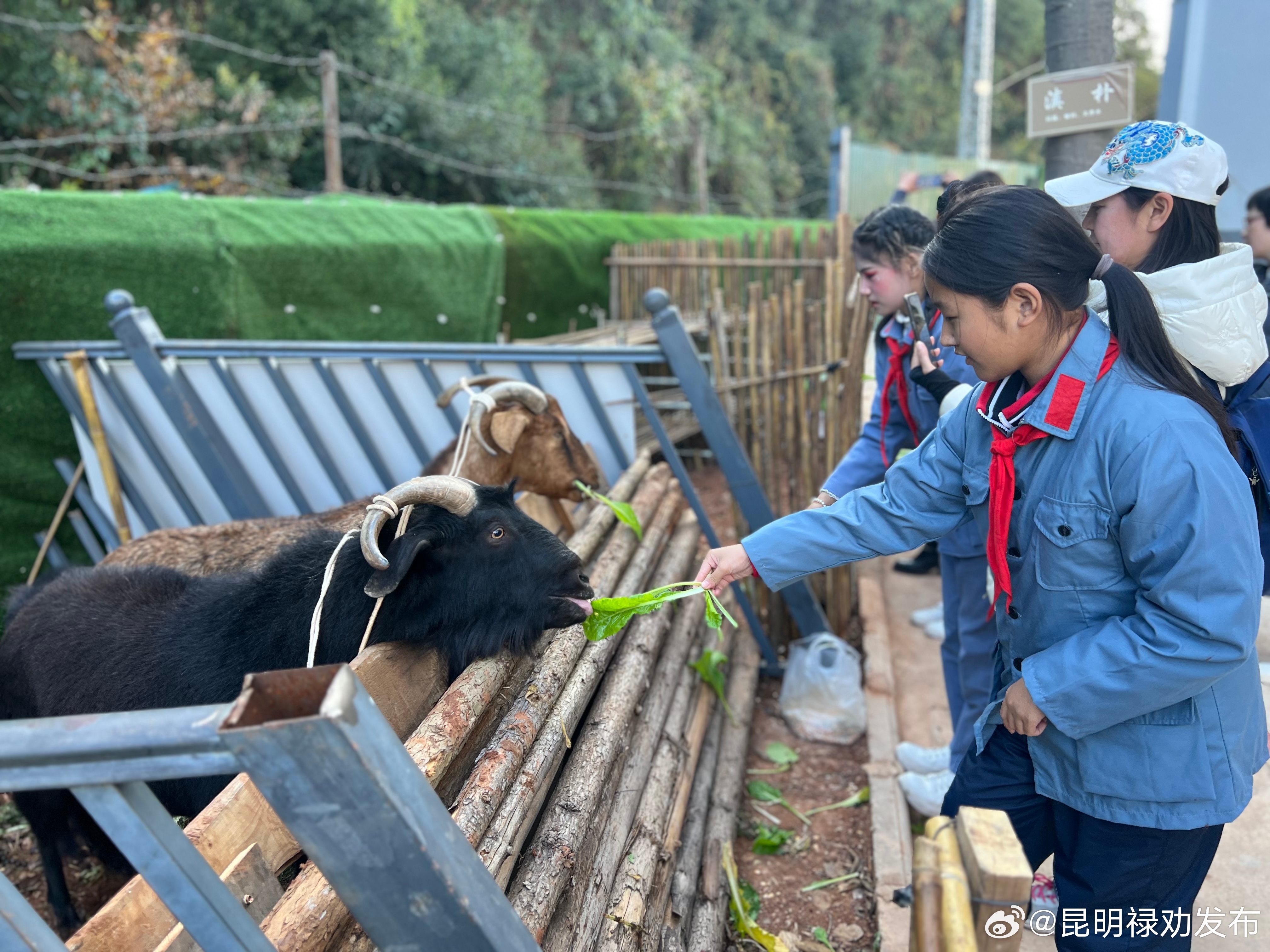 上海文达学校师生到禄劝开展东西部协作研学活动_http://www.mainten.cn_ycb_第6张
