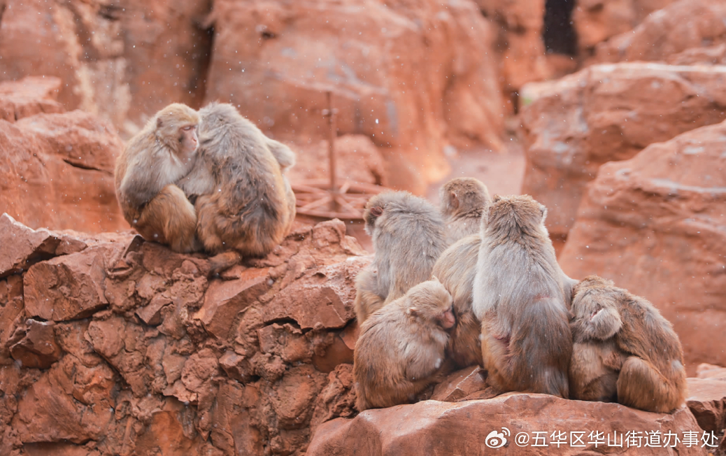 五华区华山街道办事处