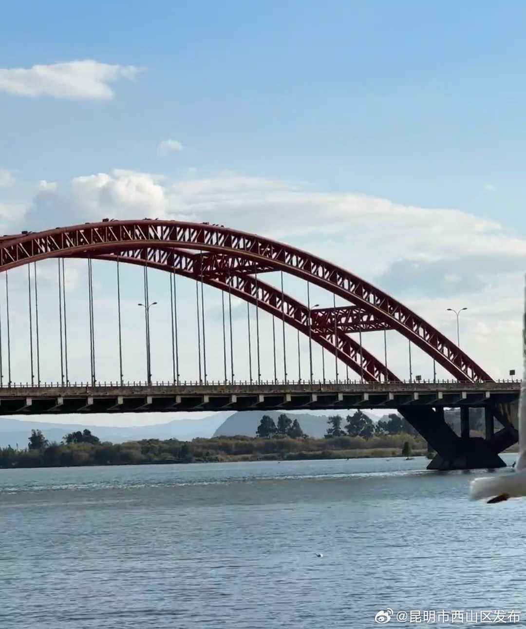 昆明市西山区发布