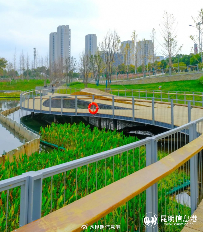 昆明信息港微博