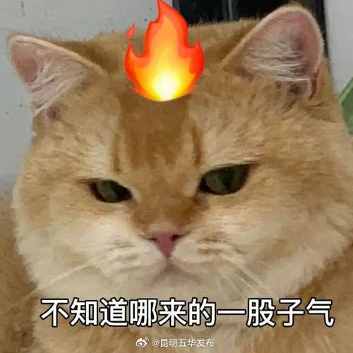 脾气差的人可能缺B族维生素了