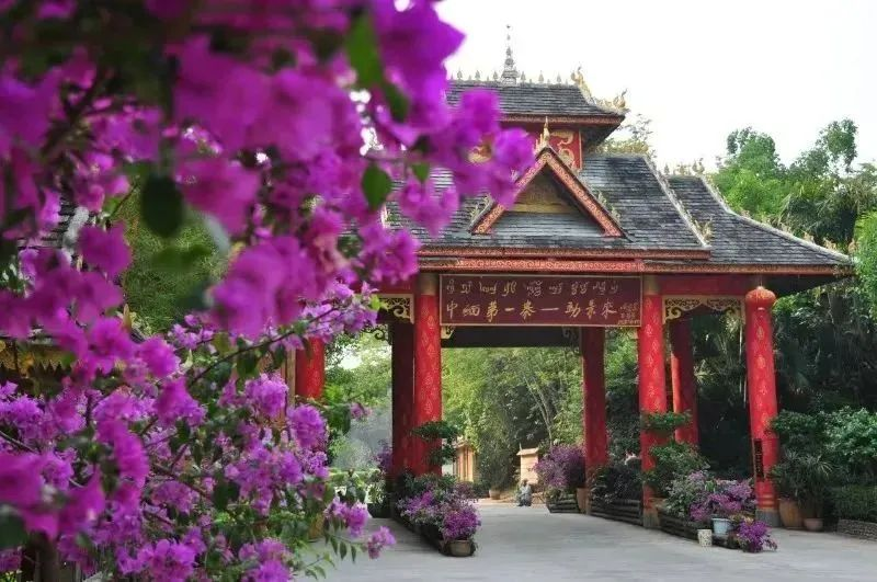 西双版纳傣族自治州人民政府