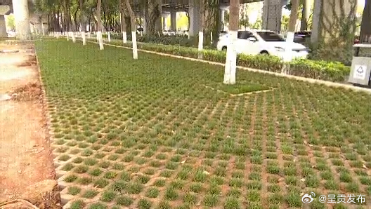 呈贡发布