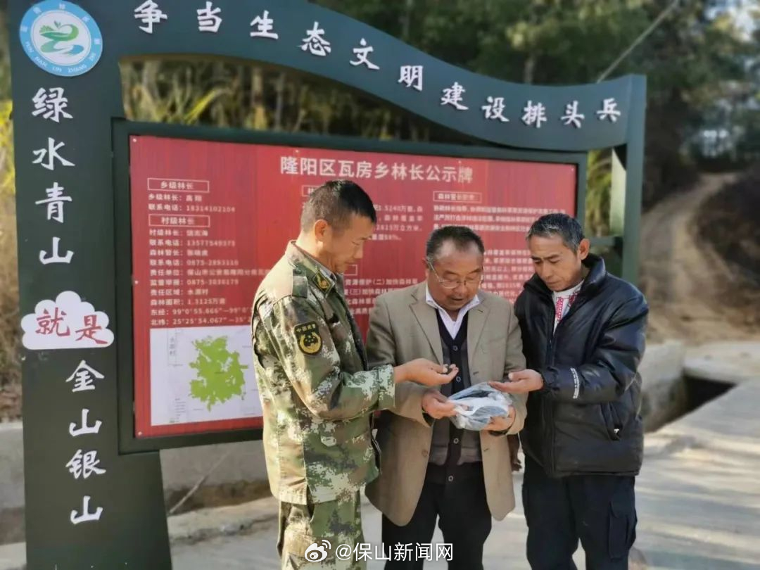保山新闻网