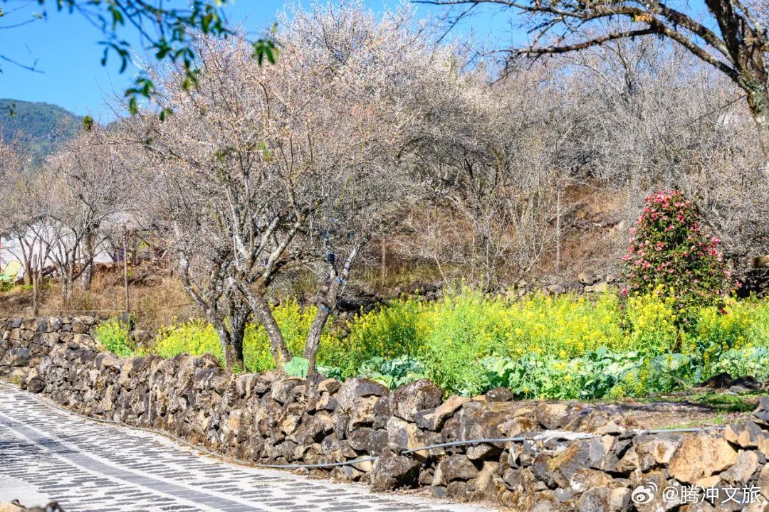 腾冲文旅