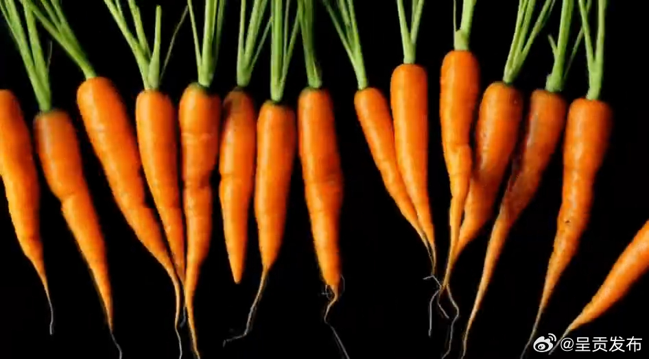吃胡萝卜有助延缓衰老
