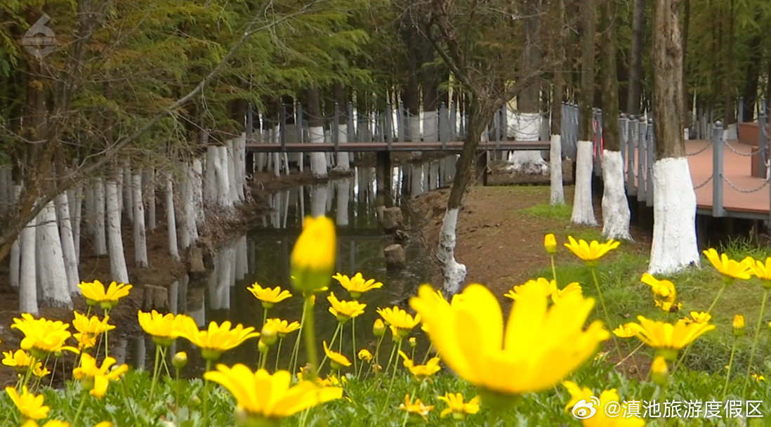 滇池旅游度假区