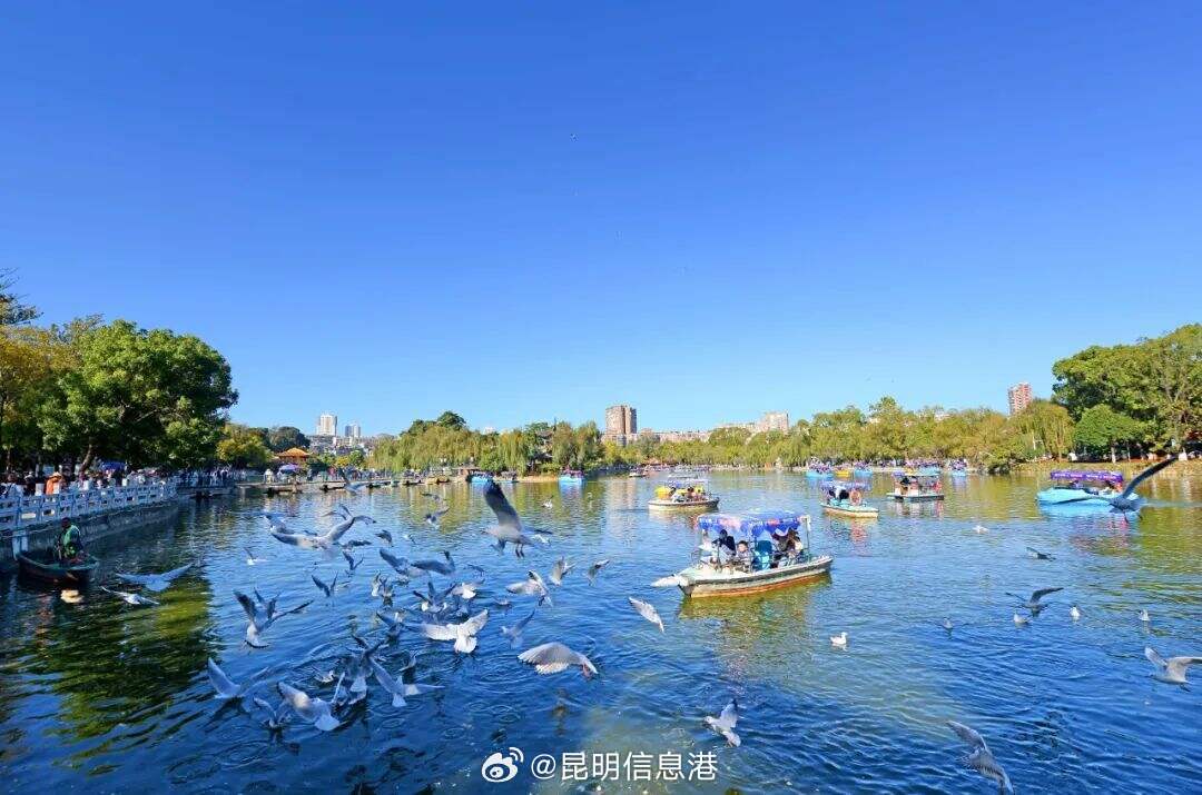 昆明信息港微博