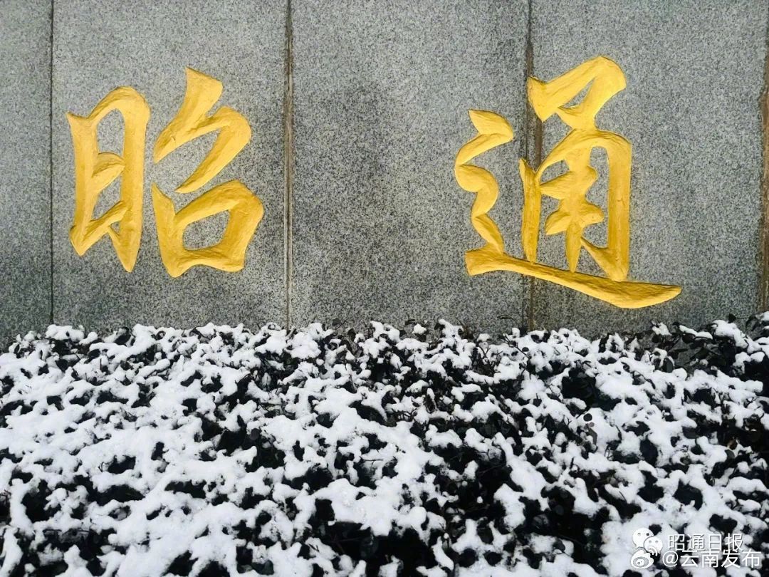2024年昭通的第一场雪来了_http://www.mainten.cn_ycb_第5张