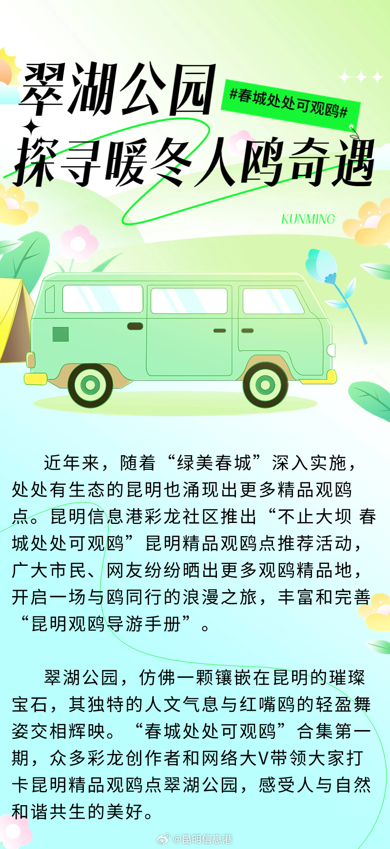 春城处处可观鸥 丨沉浸式打卡翠湖公园 探寻暖冬人鸥奇遇_http://www.mainten.cn_ycb_第1张