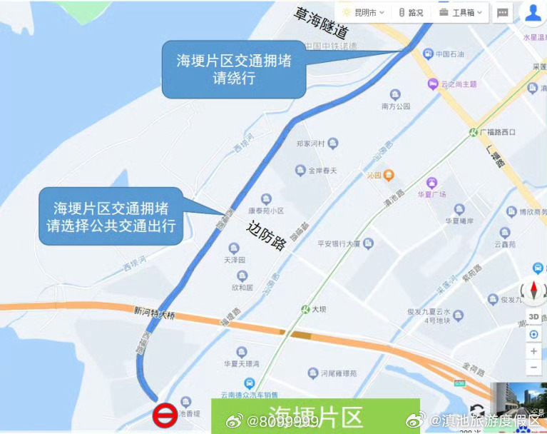 观鸥季期间海埂片区实行交通管控_http://www.mainten.cn_ycb_第3张