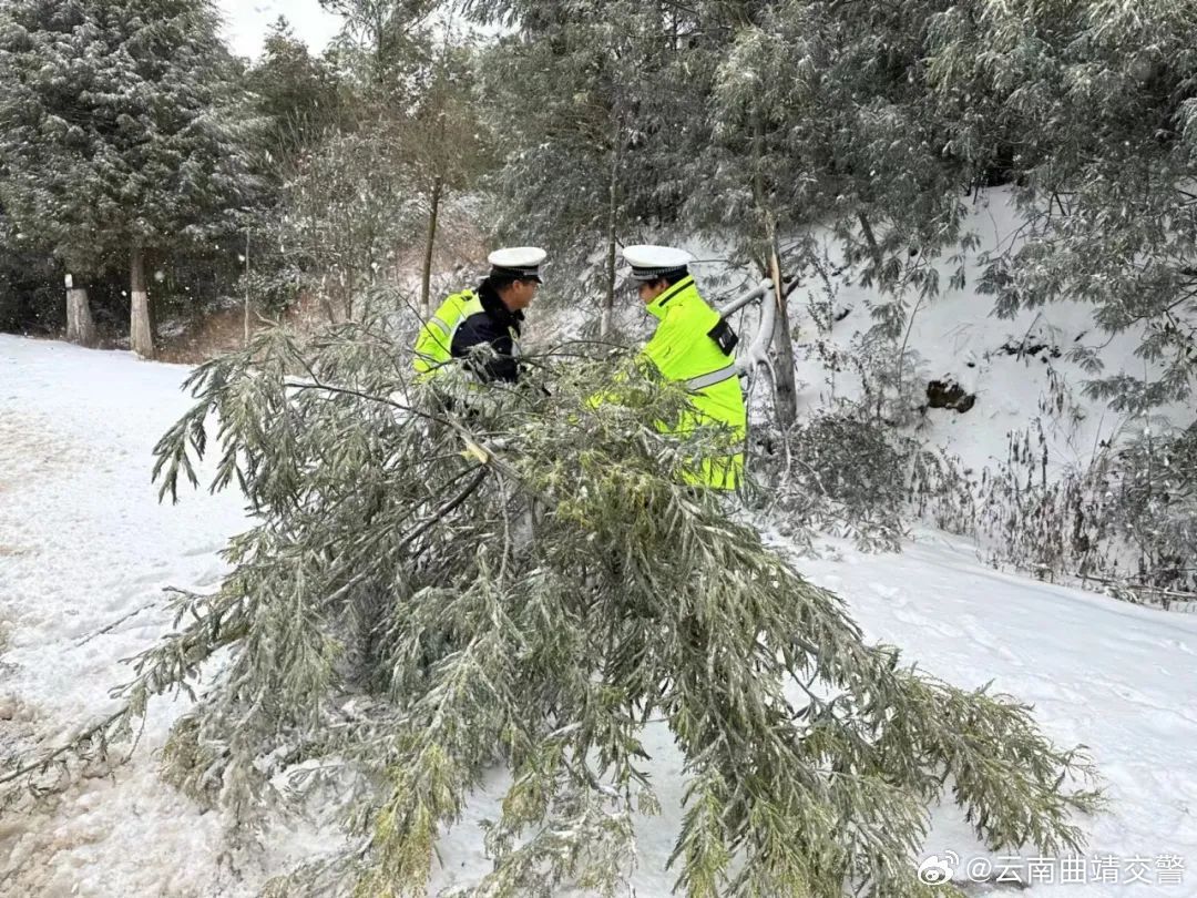云南曲靖交警