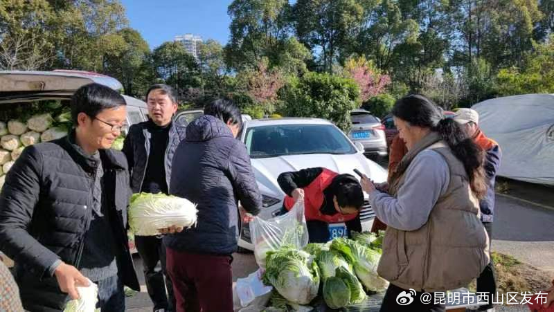 昆明市西山区发布