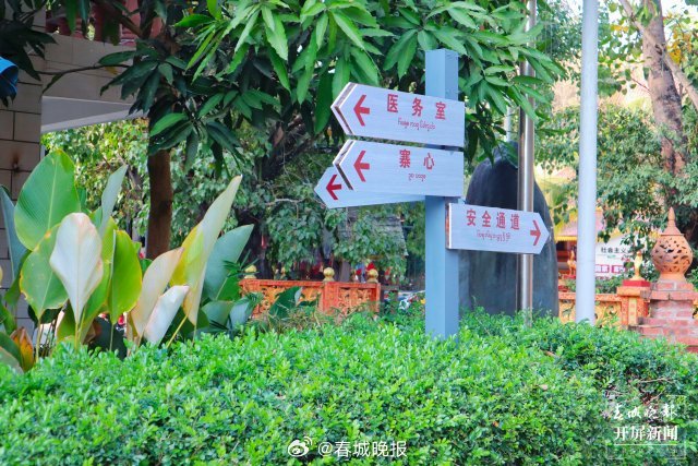 春城晚报