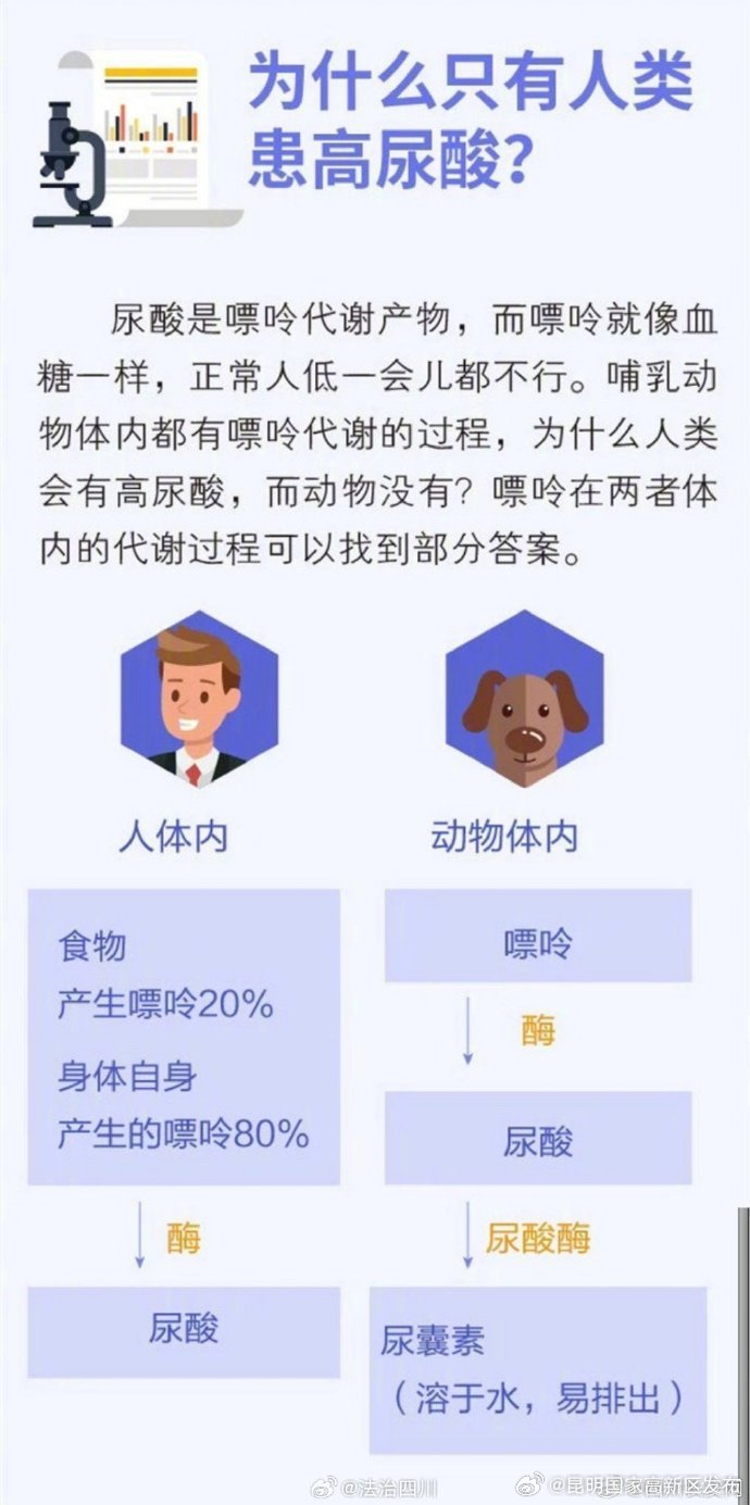昆明国家高新区发布