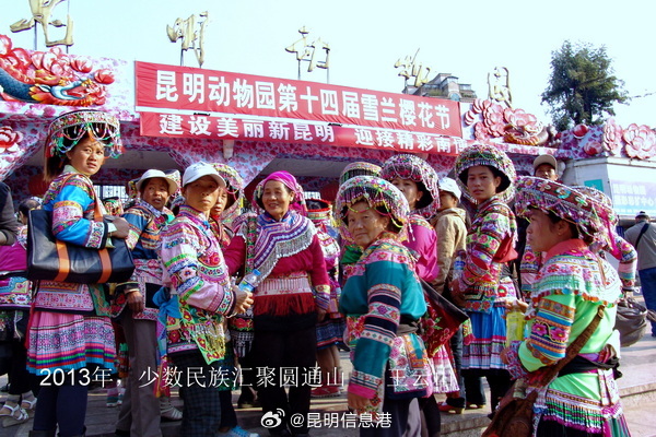 昆明信息港微博