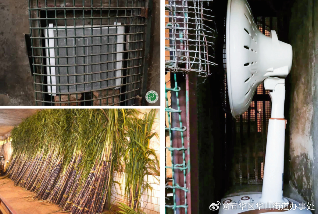 五华区华山街道办事处