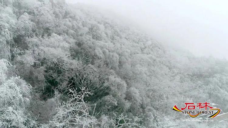 石林旅游网