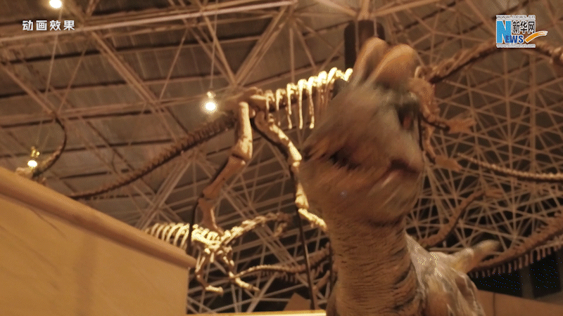 云南省文化和旅游厅