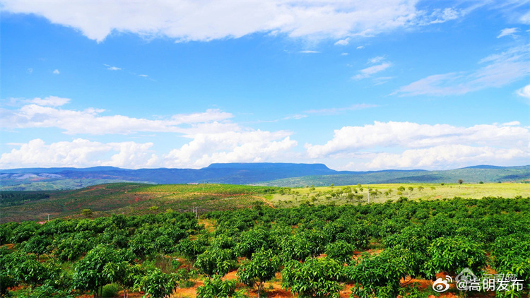 2023年云南经济观察