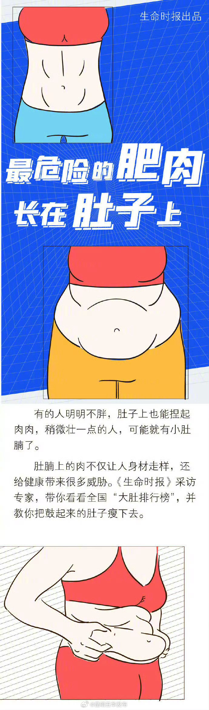 脂肪为什么盯上肚子_http://www.mainten.cn_ycb_第1张