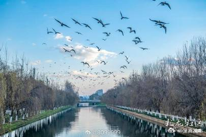 滇池周边生态湿地公园_http://www.mainten.cn_ycb_第2张