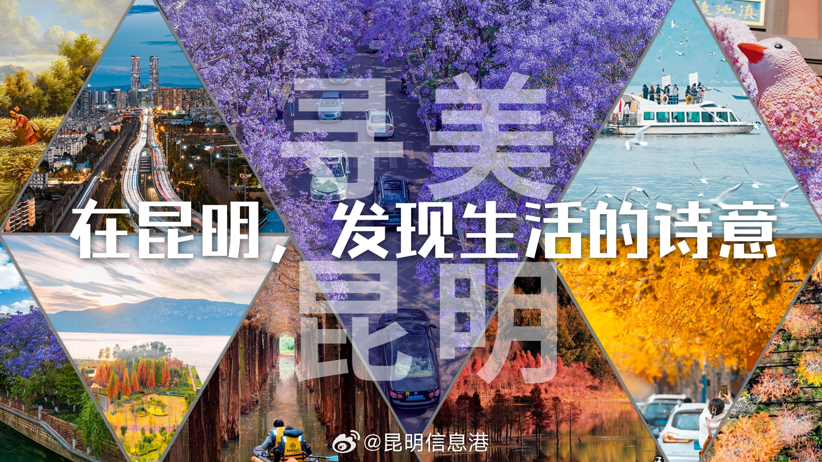 昆明信息港微博