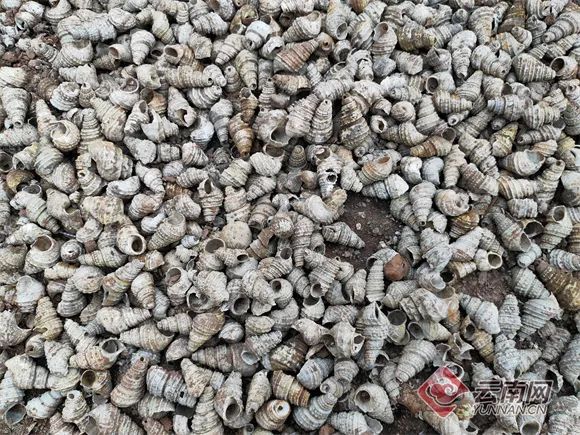 云南省文化和旅游厅