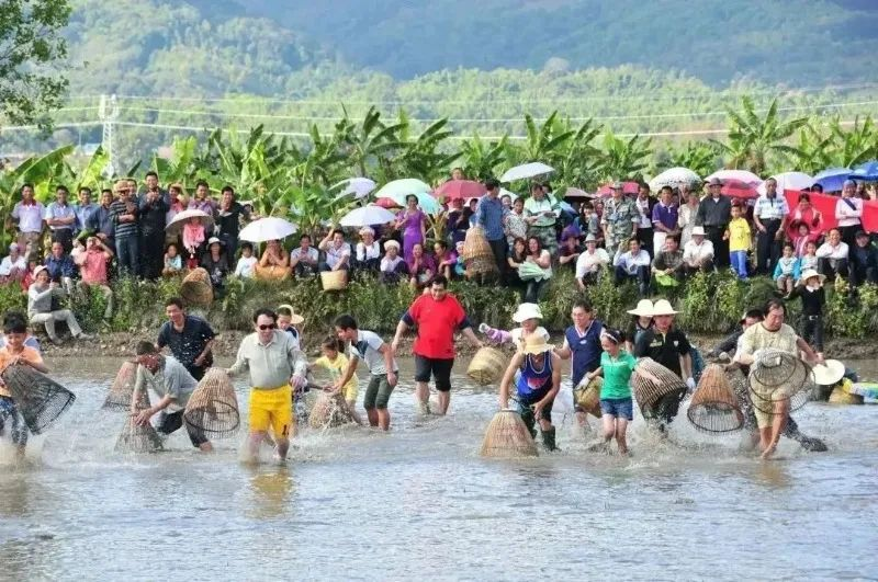 西双版纳傣族自治州人民政府