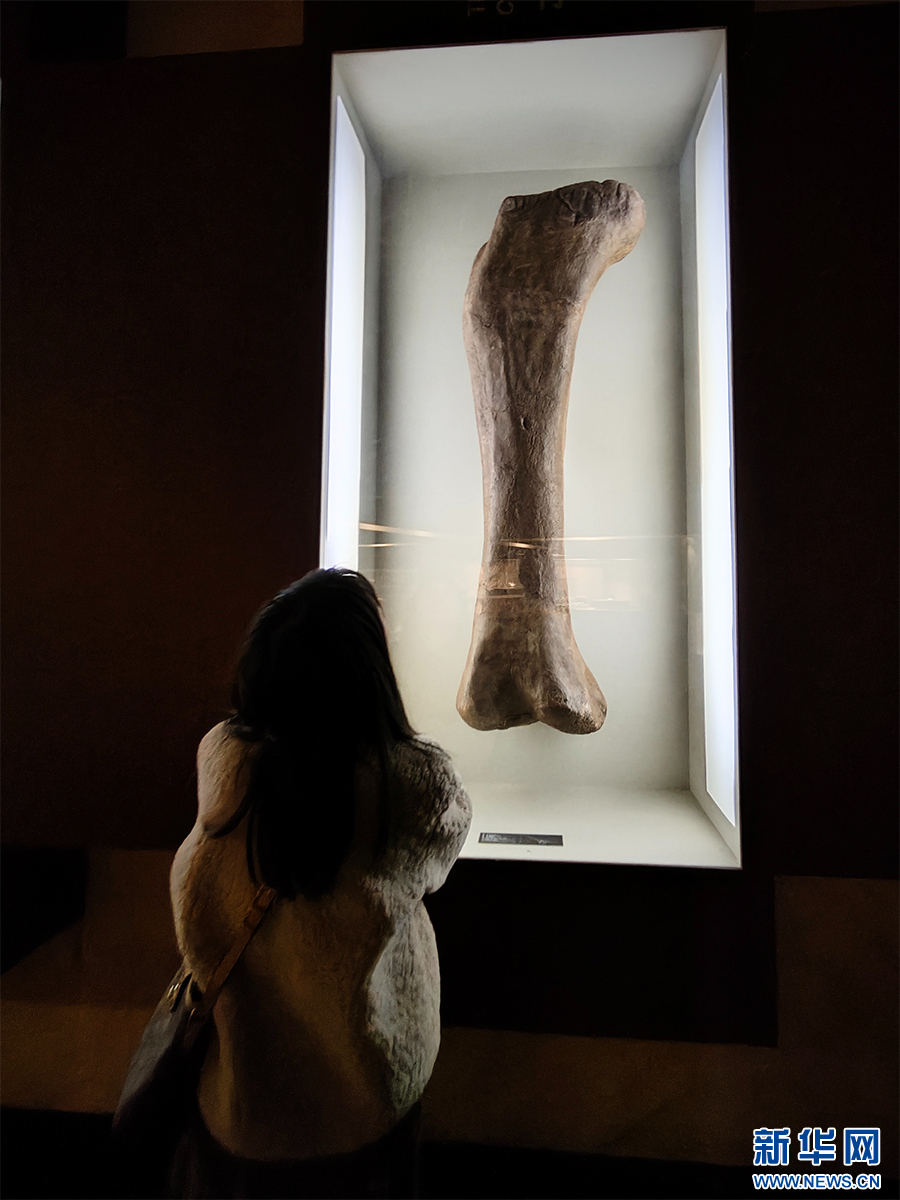 云南省文化和旅游厅