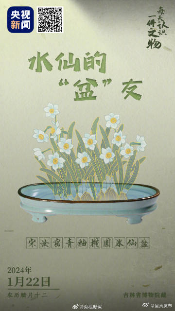 水仙花和汝窑青釉盆适配度好高_http://www.mainten.cn_ycb_第1张