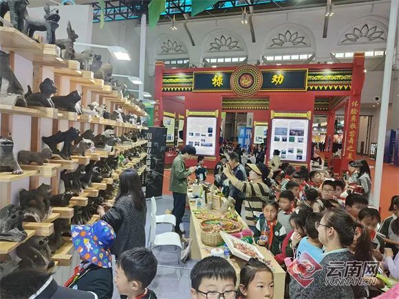 云南省文化和旅游厅