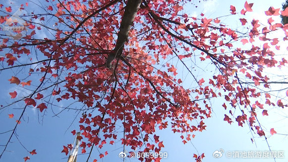 滇池旅游度假区