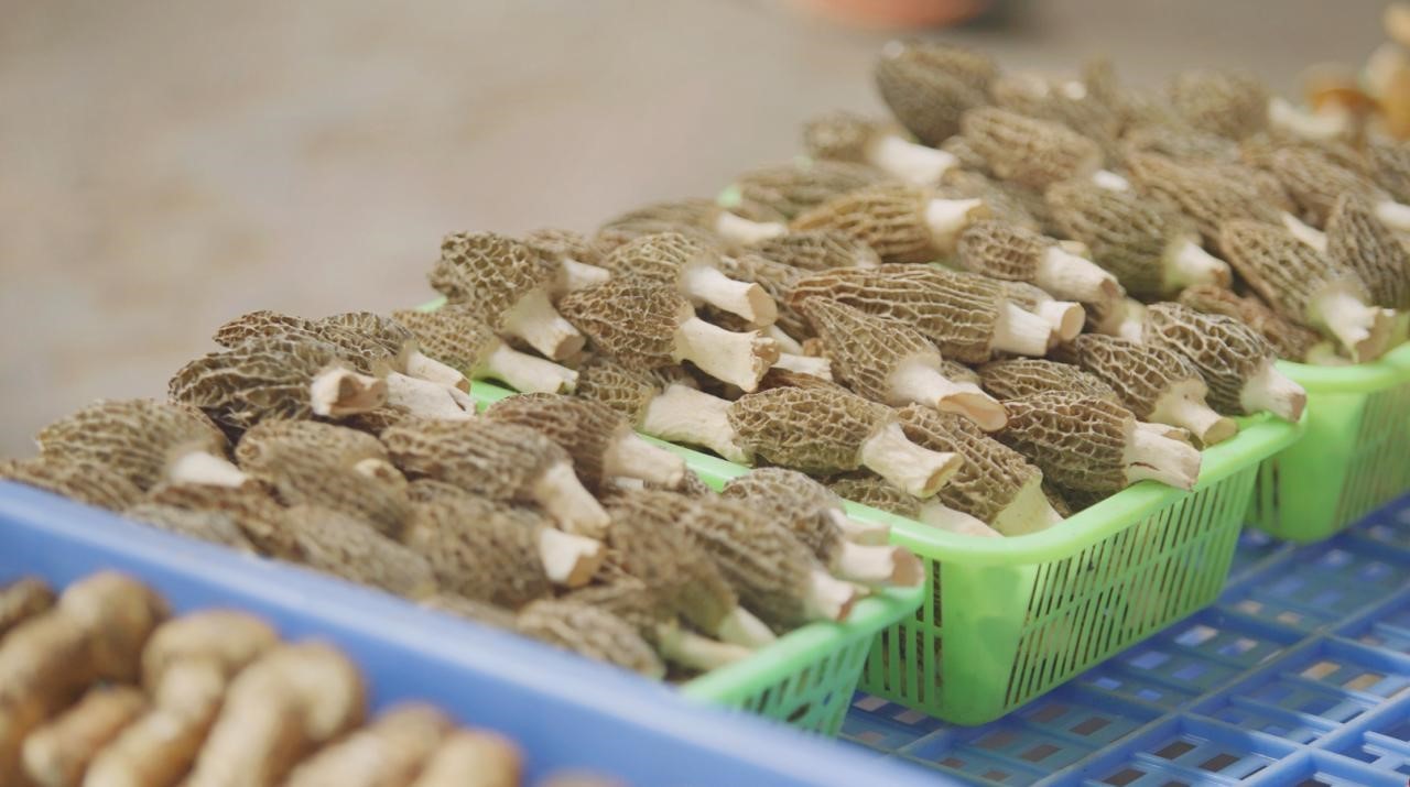 云南省文化和旅游厅