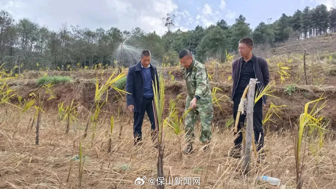 保山新闻网