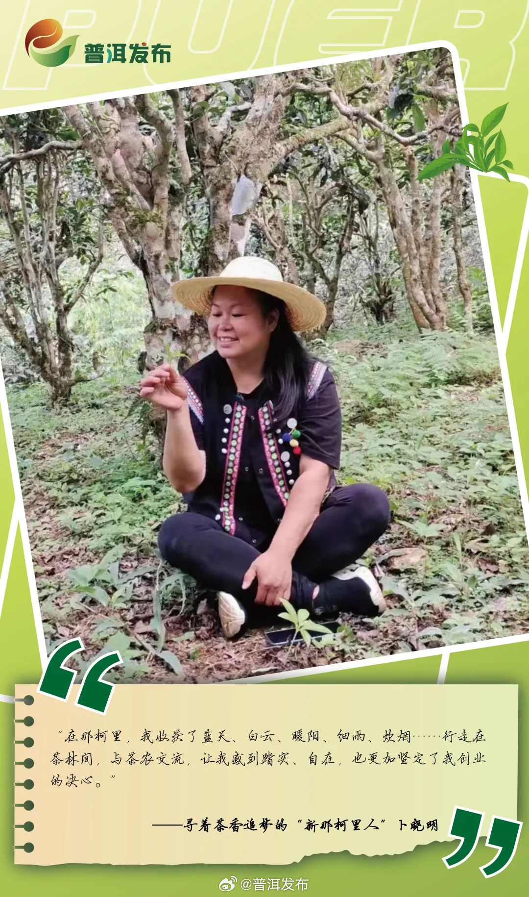 外地人在普洱丨她,寻着茶香追梦
