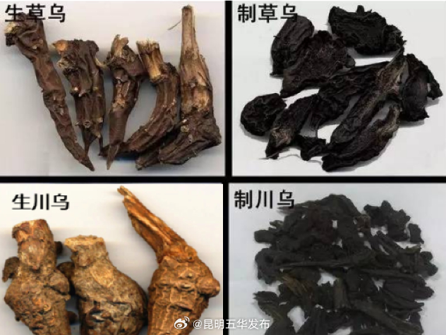 不能乱吃！昆明已发生中毒事件20余起_http://www.mainten.cn_ycb_第1张