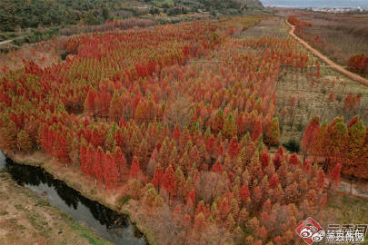 呈贡发布